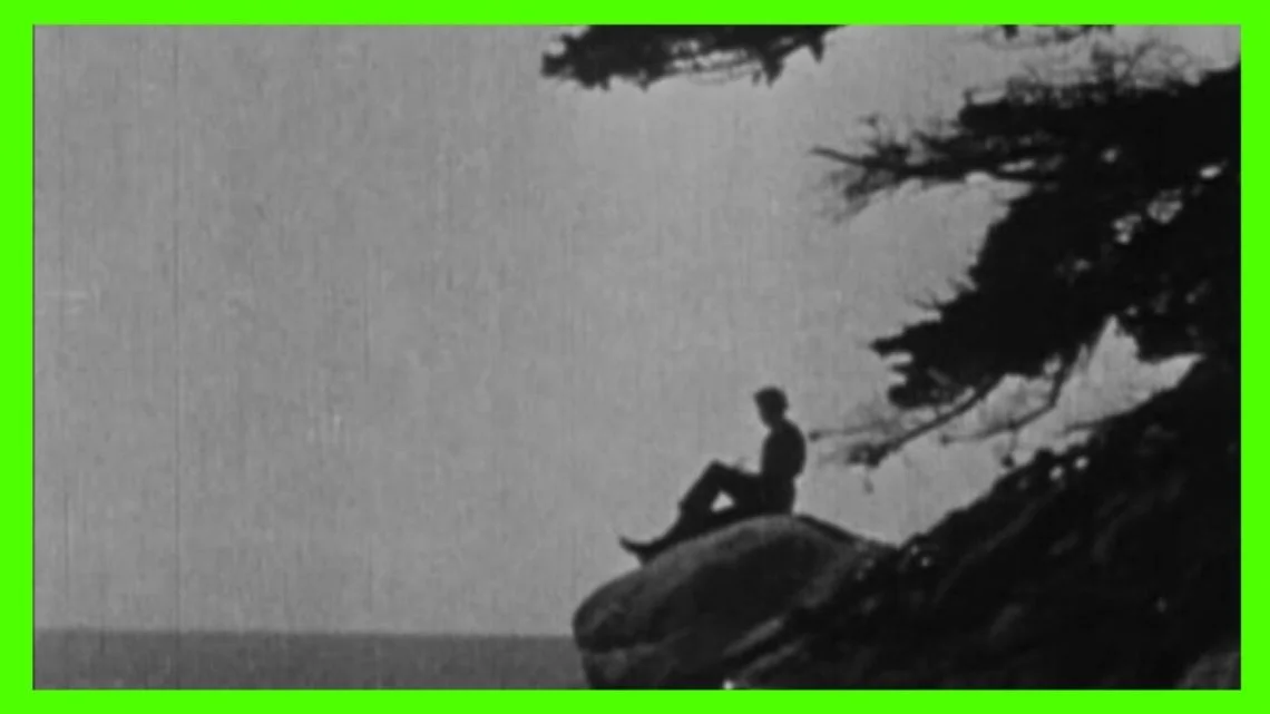 🎺 The Soul of the Cypress [  DUDLEY MURPHY ]